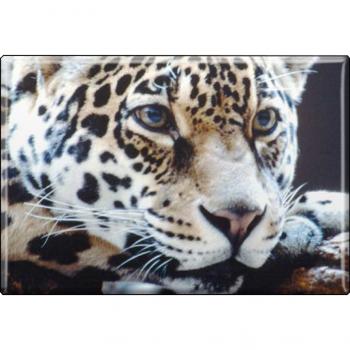 Kühlschrankmagnet - Raubkatze Leoparden - Gr. ca. 8 x 5,5 cm - 37036 - Magnet Küchenmagnet