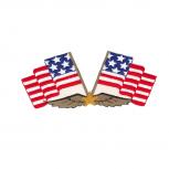 Aufnäher Flagge USA Adlerschwingen Gr. ca. 15 x 6,3 cm  20575