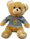 Plüsch - Teddybär mit Shirt - Mönchengladbach - 27079 - Größe ca 26cm