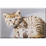 Kühlschrankmagnet - Katze Kätzchen - Gr. ca. 8 x 5,5 cm - 38448 - Magnet Küchenmagnet