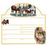 Stalltafel Boxenschild - Shettland Pony - ©Kollektion Bötzel - 38584 - Gr. ca. 30cm x 28,5cm