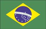 Auto-Flagge - Brasilien - Gr. ca. 40x30cm - 78029 - Flagge mit Klemmstab, Autoländerfahne