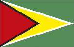 Autoscheiben-Flagge - Guyana - Gr. ca. 40x30cm - 78061 - Dekoflagge Autoländerfahne