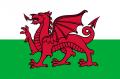 Wales Fan- Artikel