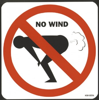 Spaß-Schild - NO WIND - 20cm x 20cm - 308336