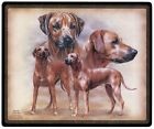 Mauspad MOUSEPAD Hundemotiv - Rhodesian Ridgeback - 22594 - ©Kollektion Bötzel