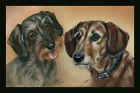 Fußmatte Hunde - RAUHAAR-DACKEL - 25015 Gr. 60 x 40cm