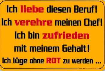 Witziges Schild - Ich liebe diesen Beruf - 309280 - 30 x 20 cm - Arbeit Job Chef
