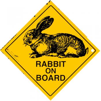 Schild mit Saugnäpfen - RABBIT ON BOARD - 309116 - Gr. ca. 15 x 15 cm