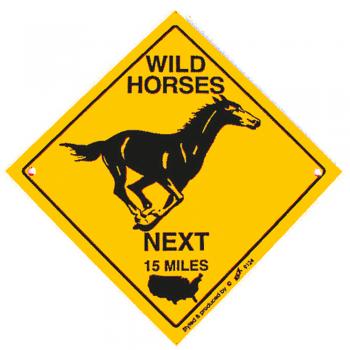 Schild mit Saugnäpfen - WILD HORSES next 15 Miles - 309124 - Gr. ca. 15 x 15 cm