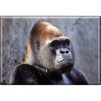 TIERMAGNET - Gorilla - Gr. ca. 8 x 5,5 cm - 37001 - Küchenmagnet