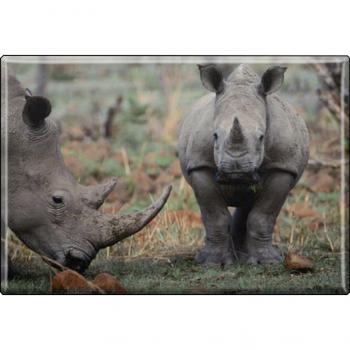 TIERMAGNET - Nashorn - Gr. ca. 8 x 5,5 cm - 37020 - Küchenmagnet