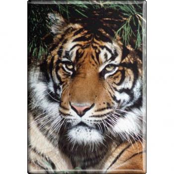 TIERMAGNET - Tiger - Gr. ca. 8 x 5,5 cm - 37035 - Küchenmagnet