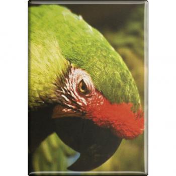 Kühlschrankmagnet - Vogel Papageien - Gr. ca. 8 x 5,5 cm - 37232 - Magnet Küchenmagnet