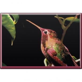 TIERMAGNET - Vogel - Gr. ca. 8 x 5,5 cm  - 37251 - Küchenmagnet