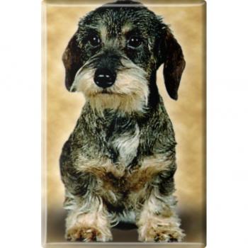 TIERMAGNET - Hunde Welpe - Gr. ca. 8 x 5,5 cm - 38425 - Küchenmagnet