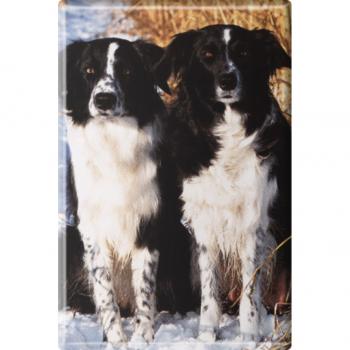 Kühlschrankmagnet - Hunde - Gr. ca. 8 x 5,5 cm - 38426 - Magnet  Küchenmagnet