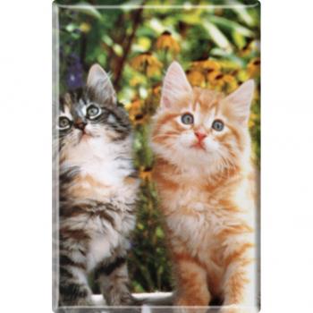 TIERMAGNET - Katze Kätzchen - Gr. ca. 8 x 5,5 cm - 38430 - Küchenmagnet