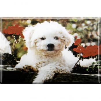 Kühlschrankmagnet - Hund Westy Welpe - Gr. ca. 8 x 5,5 cm - 38443 - Magnet Küchenmagnet