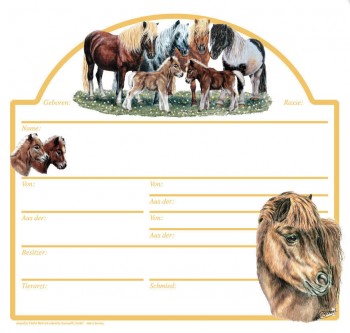 Stalltafel Boxenschild - Shettland Pony - ©Kollektion Bötzel - 38584 - Gr. ca. 30cm x 28,5cm