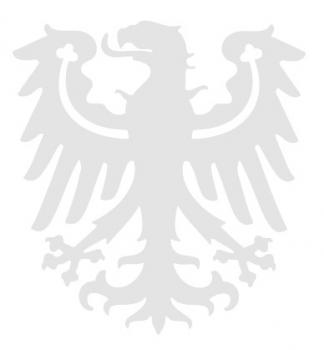 Aufkleber Wandapplikation - Adler Preussen - AP4096 - silber / 25cm