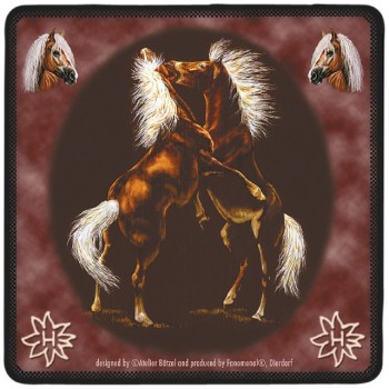 Untersetzer 2er-Set Pferdemotiv - Haflinger - 23505 Gr. ca. 10 x 10 cm