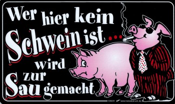 Spaß-Schild - WER HIER KEIN SCHWEIN IST - 309251 - 25cm x 15cm - Tiere Schwein Spruch