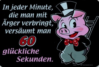 Witziges Schild - Glücksschwein - 60 glückliche Sekunden - 309267 - 30 x 20 cm - Spruch