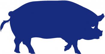 Aufkleber Applikation - Schwein - AP0439 - verschiedene Farben zur Wahl