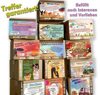 Mystery-Boxen für versch. Genre wie Feuerwehr, Pferde, Hunde, Katze, Kinder, Musik etc. jeweils 15 Aritkel
