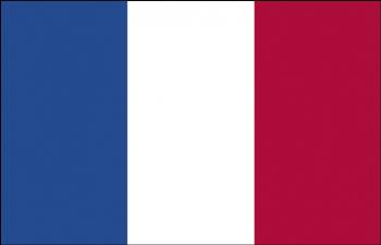 Auto-Länderflagge - Frankreich - Gr. ca. 40x30cm - 78051 - Fahne mit Klemmstab Autoländerfahne