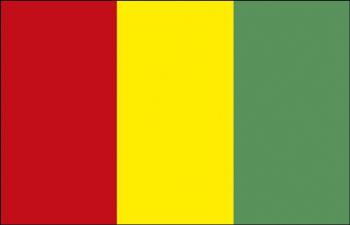 Fahne - Guinea - Gr. ca. 40x30cm - 77060 Stockländerfahne