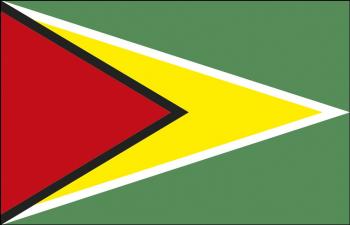 Stockländerfahne - Guyana - Gr. ca. 40x30cm - 77061 - Schwenkfahne Länder Flagge