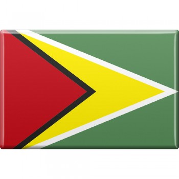 Kühlschrankmagnet - Länderflagge Guyana - Gr.ca. 8x5,5 cm - 38044 - Magnet