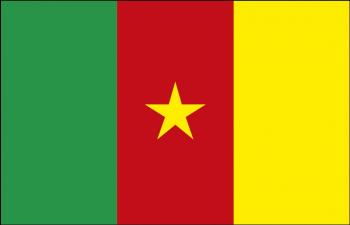 Flagge Stockländerfahne - Kamerun - Gr. ca. 40x30cm - 77076 - Schwenkfahne
