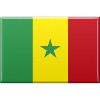 Kühlschrankmagnet - Länderflagge Senegal - Gr.ca. 8x5,5 cm - 37817 - Magnet