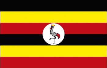 Länder-Flagge - Uganda - Gr. ca. 40x30cm - 77176 - Dekofahne, Hissflagge, Stockländerfahne