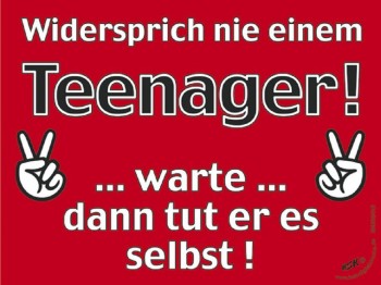 Witziges Schild - Widersprich nie einem Teenager.. - 309206 - Gr. 25 x 15 cm - Jugendliche