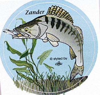 PVC Aufkleber Applikation - Fisch - Fische - Angeln - ZANDER - 307360 - Gr. ca. 8 cm
