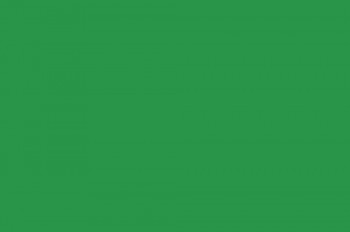 neutrale Flagge - GREEN - Gr. ca. 40x30 cm - 24453 - Dekoflagge