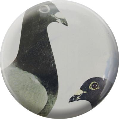 Küchenmagnet - Tauben - Gr. ca. 5,7 cm - 16205 - Magnet Kühlschrankmagnet