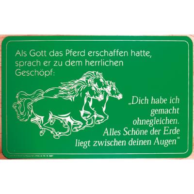 Spaßschild - Als Gott das Pferd... - Gr. ca. 40 x 25 cm - 308627