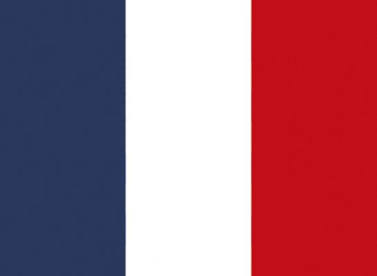 Aufkleber Länderfahne Flagge - France FRANKREICH - 301260 - Gr. ca. 9,5cm x 6,5cm