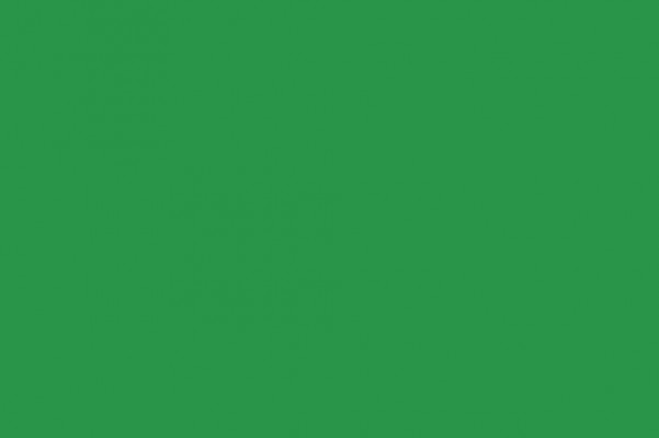 neutrale Flagge - GREEN - Gr. ca. 40x30 cm - 24453 - Dekoflagge