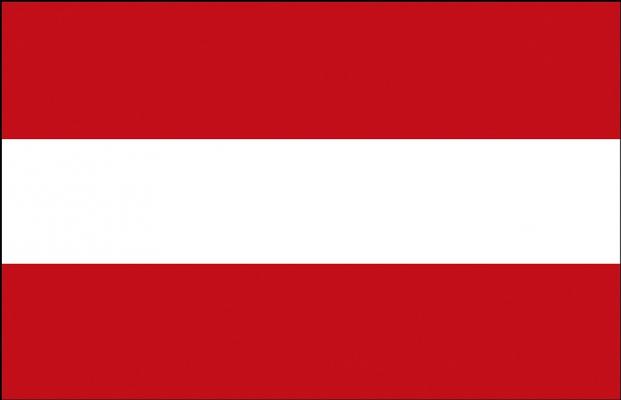 FAHNE FLAGGE - Österreich 004 - NEU - Gr. 40cm x 30cm - Länderflagge zur Befestigung an z.B. der Autoscheibe