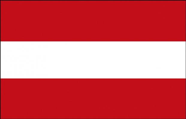FAHNE FLAGGE - Österreich  Gr. 40cm x 30cm - Länderflagge zur Befestigung an z.B. der Autoscheibe