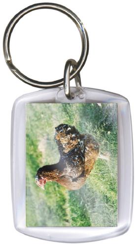Schlüsselanhänger - Henne braun - Gr. ca. 60x40mm - 03424 -