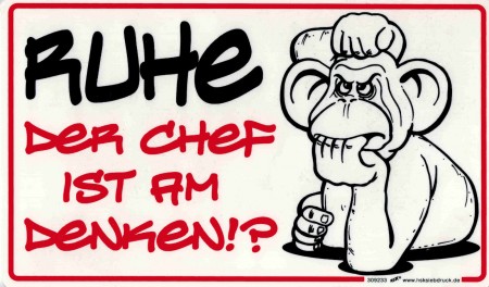 Schild Spaß -  RUHE - der Chef ist am denken!? - 309233 - 25cm x 15cm - Arbeit