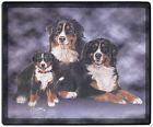 Mauspad MOUSEPAD Hund - Berner Sennenhund - 22587 Gr. 24 x 20cm