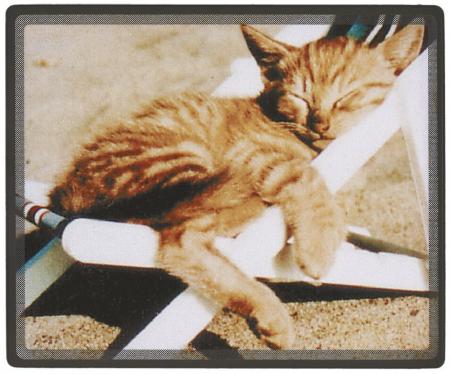 Mousepad Mauspad - Katze schlafend im Liegestuhl - 22601 Gr. ca. 24 x 20cm